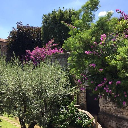 Le Finestre Sugli Ulivi Διαμέρισμα Ντεζεντσάνο ντελ Γκάρντα Εξωτερικό φωτογραφία